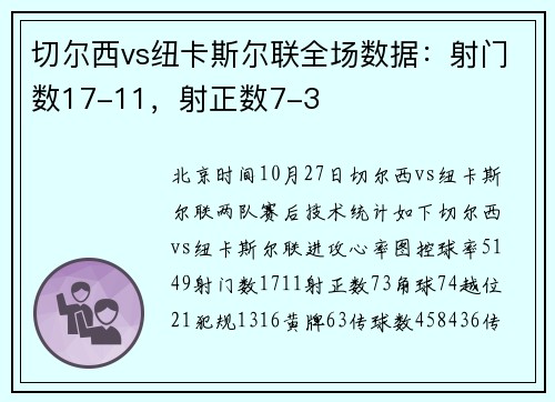 切尔西vs纽卡斯尔联全场数据：射门数17-11，射正数7-3