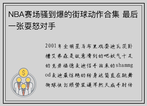 NBA赛场骚到爆的街球动作合集 最后一张耍怒对手